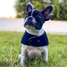 Load image into Gallery viewer, signature bandana