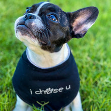 Load image into Gallery viewer, signature bandana