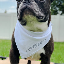 Load image into Gallery viewer, signature tie-on bandana