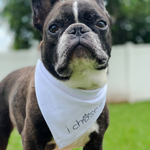 Load image into Gallery viewer, signature tie-on bandana
