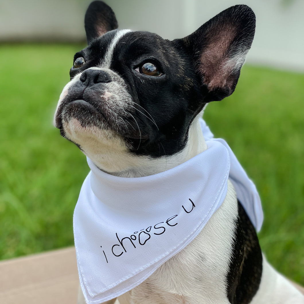 signature tie-on bandana