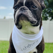 Load image into Gallery viewer, signature tie-on bandana
