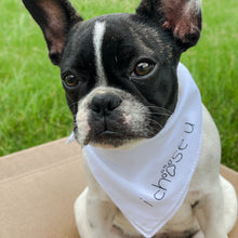 Load image into Gallery viewer, signature tie-on bandana
