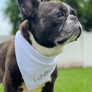 signature tie-on bandana