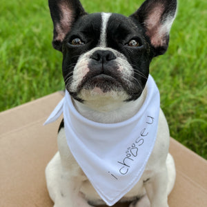 signature tie-on bandana